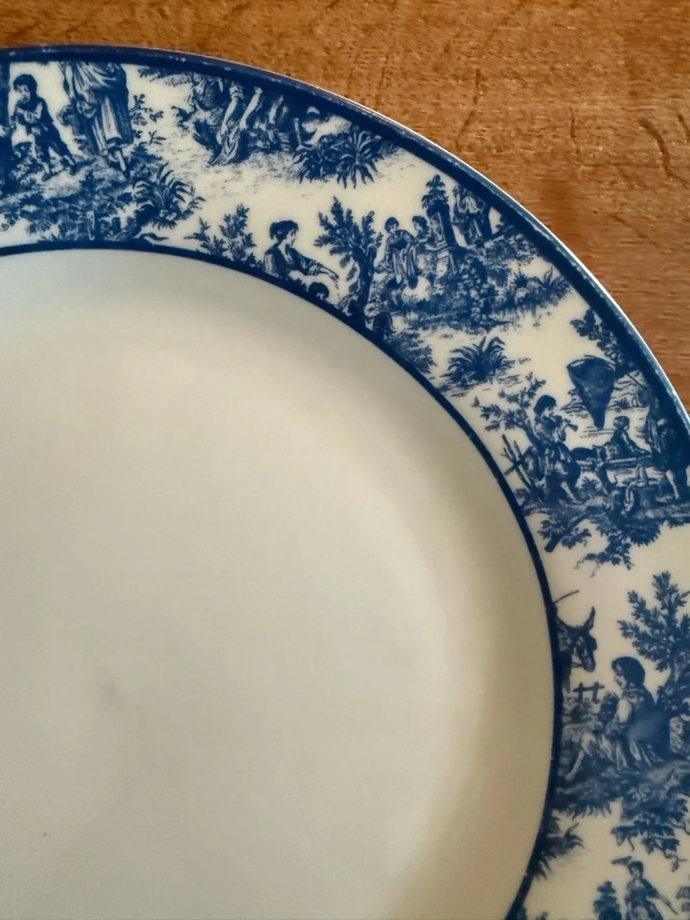 Waverly Country Life Blue Toile 10 Porcelain Dinner Plate